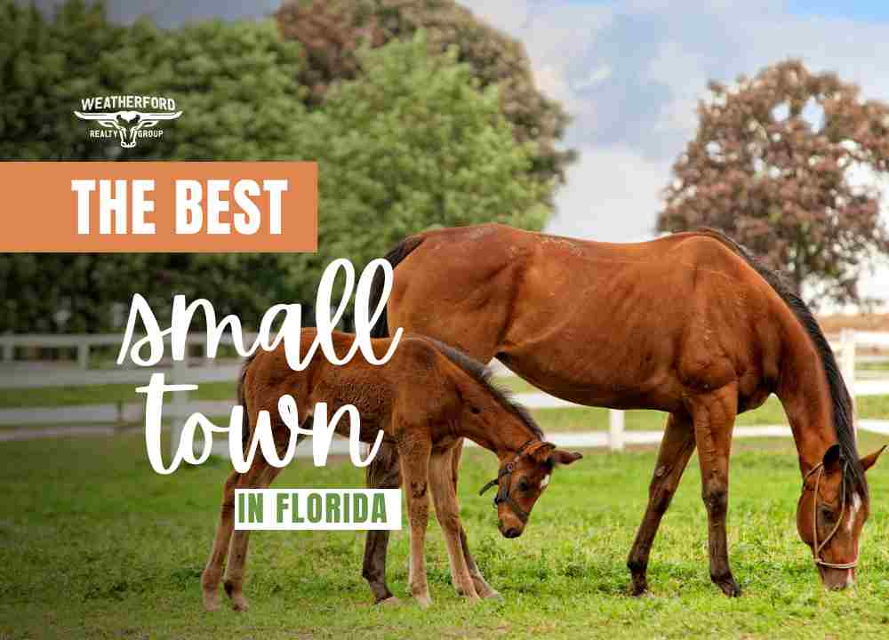 best town to live in Florida