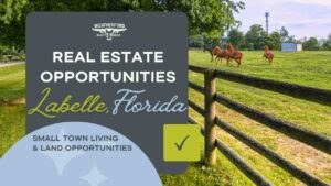 real estate labelle florida