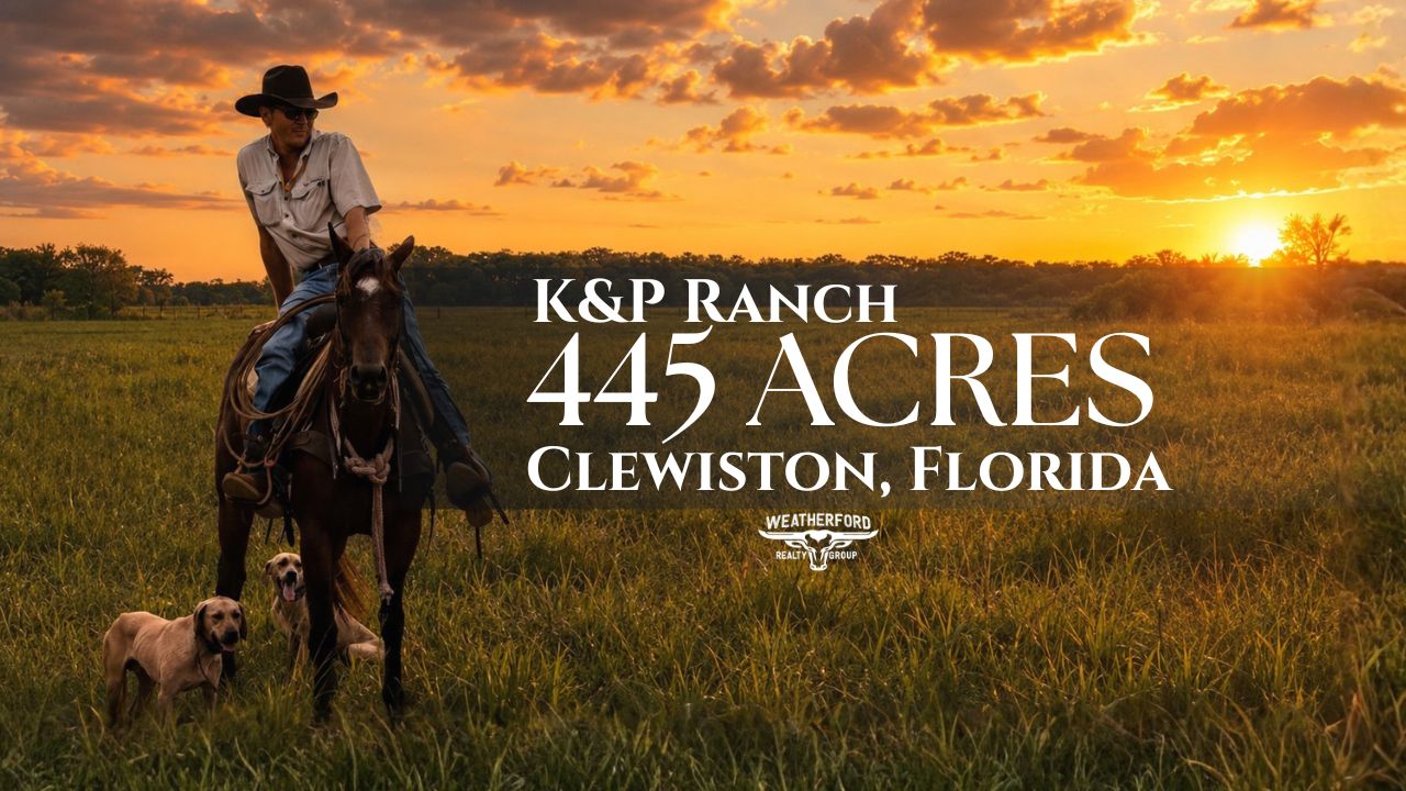 K&P Ranch